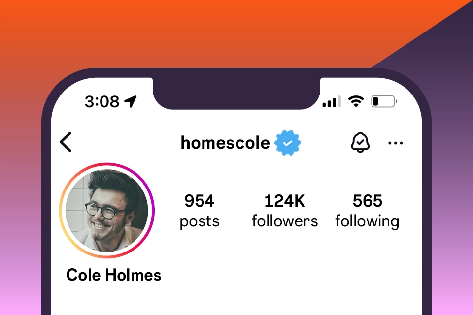 Stylized featured image of a verified Instagram account