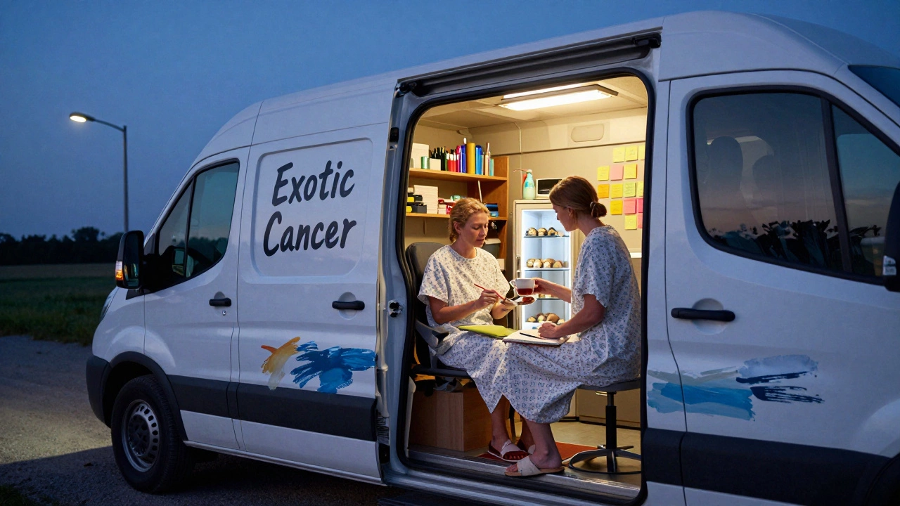 A mobile van at a rural hospital, offering tea and art supplies to a patient in a hospital gown.